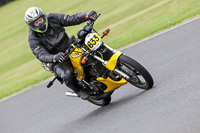 Vintage-motorcycle-club;eventdigitalimages;mallory-park;mallory-park-trackday-photographs;no-limits-trackdays;peter-wileman-photography;trackday-digital-images;trackday-photos;vmcc-festival-1000-bikes-photographs